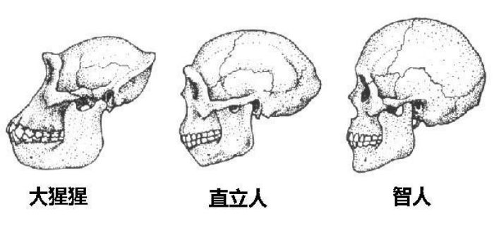 圖片 8.jpg