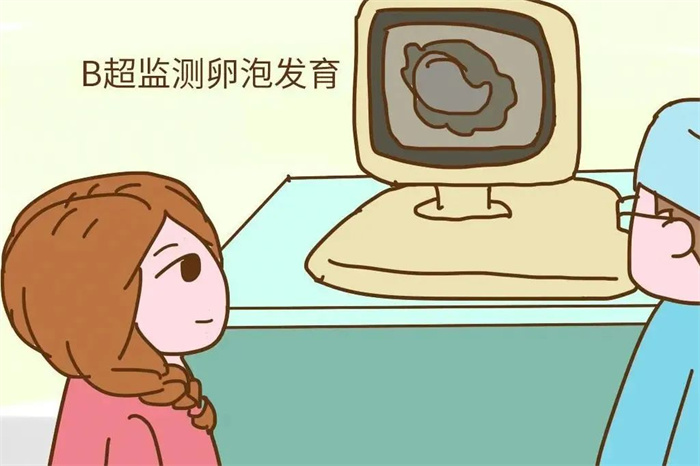6.jpg 6.jpg